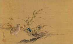 土佐光起《秋草鶉之図》豊橋市美術博物館蔵