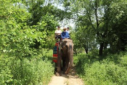 「【2026年夏の那須旅行】いこーよ厳選！夏休みに親子で楽しむ定番＆穴場スポット」の写真
