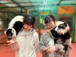 「【2026年夏の那須旅行】いこーよ厳選！夏休みに親子で楽しむ定番＆穴場スポット」の写真