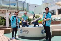 「気温が上がるほど水量UP！アシカのびちょびちょ大作戦が池袋の水族館で　自由研究も」の写真
