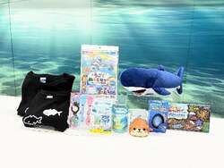 キッズサマーバッグ中身一例