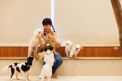 Moff animal cafe ららぽーと立川立飛店