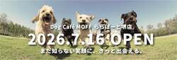 「大型犬も小型犬も全17頭とふれあえる！「Dog Cafe MOFF ららぽーと堺店」が堺にOPEN！」の写真