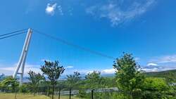 「富士山・駿河湾・つり橋を愛犬と一望！　三島スカイウォークに絶景ドッグラン誕生」の写真