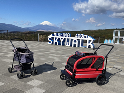 「富士山・駿河湾・つり橋を愛犬と一望！　三島スカイウォークに絶景ドッグラン誕生」の写真