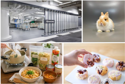 「ヘラクレスオオカブトも！世界の昆虫約50種が集結「たまがわ昆虫展2026」開催」の写真