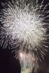 日間賀島ぎおん祭り花火大会（過去開催の様子）