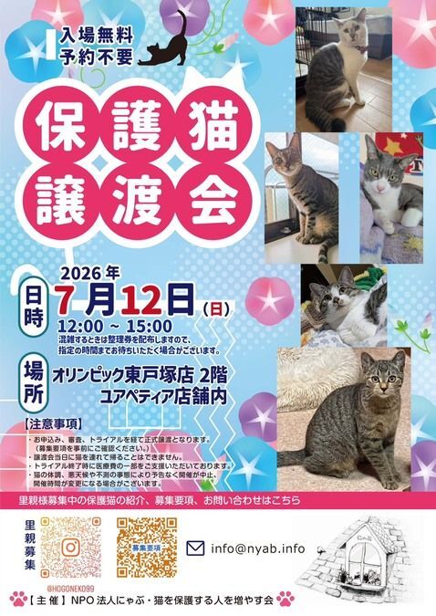 にゃぶ・保護猫譲渡会＠オリンピック東戸塚店