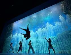 「夜のイルカショーがスゴい！仙台うみの杜水族館でサマーナイトアクアリウム初開催」の写真