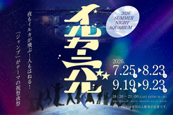「夜のイルカショーがスゴい！仙台うみの杜水族館でサマーナイトアクアリウム初開催」の写真