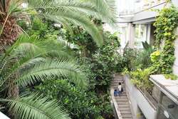 立体的な温室が人気の「板橋区立熱帯環境植物館」
