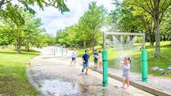 「子供入園無料！フラワーパークで13,000株超のヒマワリ畑＆泡のじゃぶじゃぶ池を満喫」の写真
