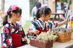 「子供入園無料！フラワーパークで13,000株超のヒマワリ畑＆泡のじゃぶじゃぶ池を満喫」の写真