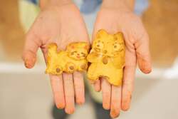 美術館にいるノンタンにクッキーを届けに行こう
