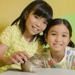ふれあい広場tetoteエリアに「シマリス」が新登場！