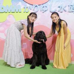 大型犬への餌やり体験