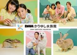 「世界最大級のウサギにメンフクロウも！DMMかりゆし水族館に新しい生きもの続々登場」の写真