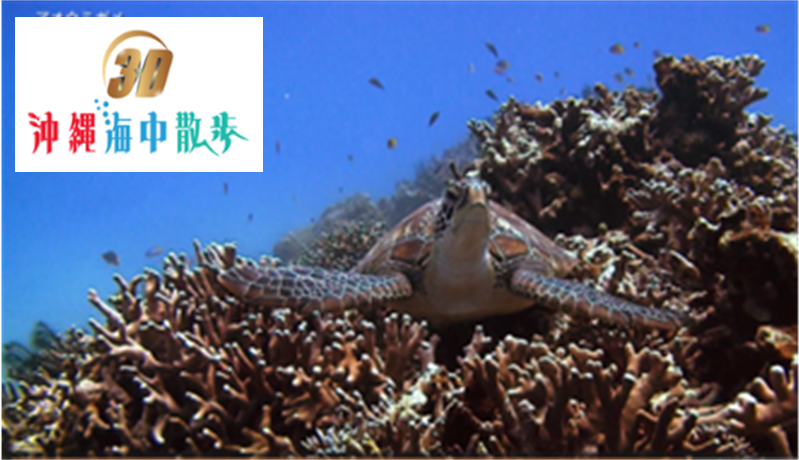 3D 沖縄海中散歩