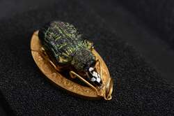 ホウソキゾウムシのペンダント