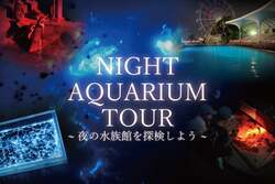 「懐中電灯片手に夜の水族館へ！ウミホタルの発光実験も、南知多ビーチランドで開催」の写真