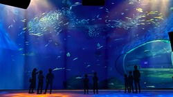 「出会いの海の大水槽」では、“潮目”“交わる”“出会い”コンセプトに、ヒーリングミュージックと照明で水槽全体を幻想的に演出