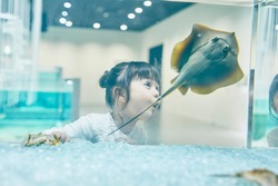「【全国】2026年夏休みにおすすめ「夜の水族館」14選！ナイトツアー＆お得なチケットも」の写真
