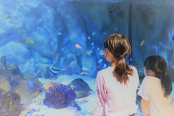 館内では約200種類の生き物を飼育展示しています