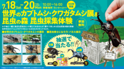 世界のカブトムシ・クワガタムシ展＆昆虫採集体験
