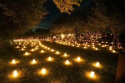 第8回しもつけ燈桜会（C）下野市
