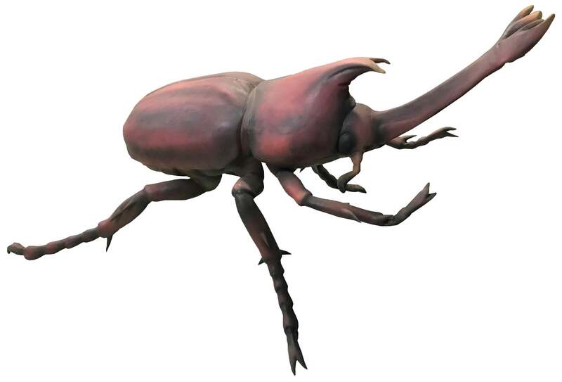 カブトムシ