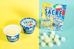 ファミリーマート「サクレ　ソルティライチ」（左）／「サクレグミ レモン＆ソルティライチ」（右）