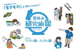 「2026年7月18日〜20日の三連休＆夏休みに超お得に楽しめるスポット＆キャンペーン17選」の写真