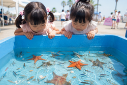 移動水族館