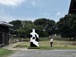 加藤牧場の手づくりアイス バッフィ