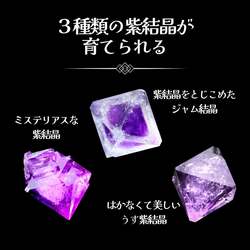 「自分だけの魔法の杖が作れる！紫結晶育成×工作キットが学研から登場　SNSで話題！」の写真