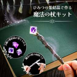 「自分だけの魔法の杖が作れる！紫結晶育成×工作キットが学研から登場　SNSで話題！」の写真