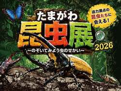 「【関東】2026年夏休みに行きたい！おすすめ昆虫イベント＆昆虫展15選 ふれあい体験も」の写真