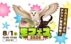 「【関東】2026年夏休みに行きたい！おすすめ昆虫イベント＆昆虫展15選 ふれあい体験も」の写真