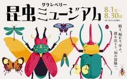 「【関東】2026年夏休みに行きたい！おすすめ昆虫イベント＆昆虫展15選 ふれあい体験も」の写真