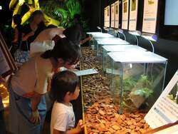 「【関東】2026年夏休みに行きたい！おすすめ昆虫イベント＆昆虫展15選 ふれあい体験も」の写真