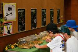 「【関東】2026年夏休みに行きたい！おすすめ昆虫イベント＆昆虫展15選 ふれあい体験も」の写真
