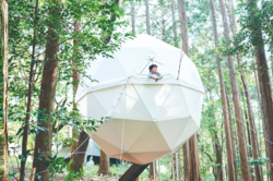 森の中に浮かぶように設置された球体テント。木々に囲まれた空間で、まるで宙に浮いているような非日常の宿泊体験