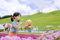 ひまわりやサンパチェンスが咲く園内の様子
