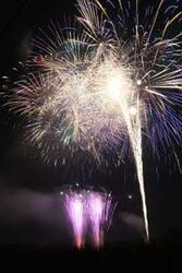 嬉野おおきん祭り