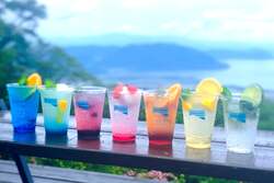 「琵琶湖を一望！標高680mで水遊びも花畑も満喫できる「びわこ箱館山」がリニューアル」の写真