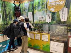 「カブトムシ採集や恐竜迷路が楽しめる！三島スカイウォークで夏休みイベントが順次開催」の写真