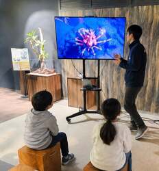 「浴衣で入場料100円割引！　浮世絵×水族館の没入体験が広島もとまち水族館で開催」の写真