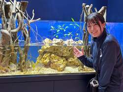 「浴衣で入場料100円割引！　浮世絵×水族館の没入体験が広島もとまち水族館で開催」の写真