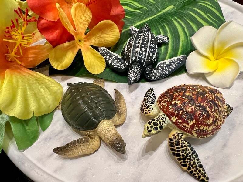 この3匹のホヌを見つけよう♪