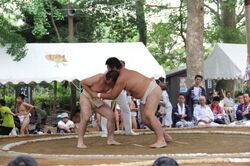 諏訪大神秋季大祭（笹川相撲まつり）（東庄町観光協会）